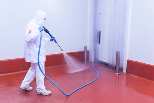 Boat and Dock Cleaning in Del Rey, CA